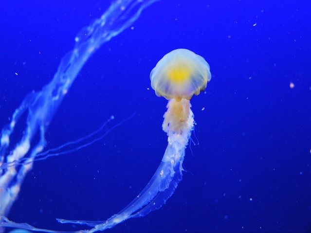 실업급여 계산기와 신청 방법