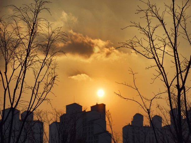 전기요금 조회 및 계산방법