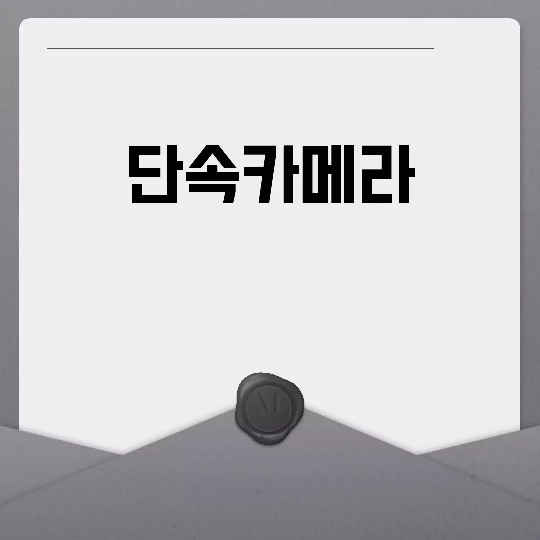 단속카메라 목격담과 유용한 정보